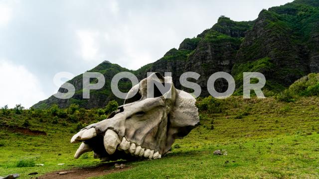 Become a RIMPAC MWR Sponsor