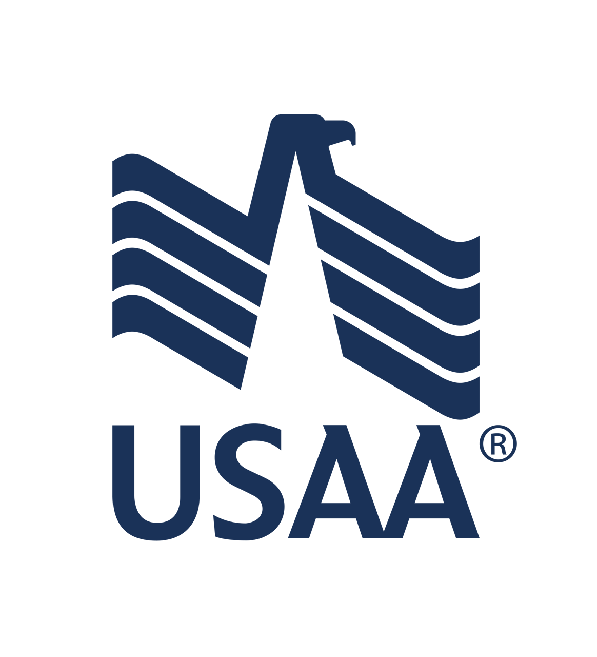 USAA Blue (2).png USAA Blue (2).png